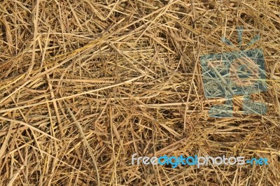 Straw Background Stock Photo