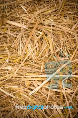 Straw Background Stock Photo