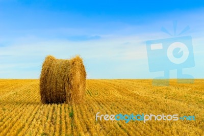 Straw Bale Stock Photo