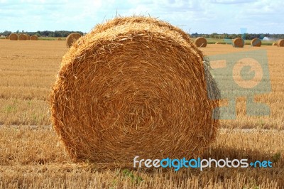 Straw Bale Stock Photo