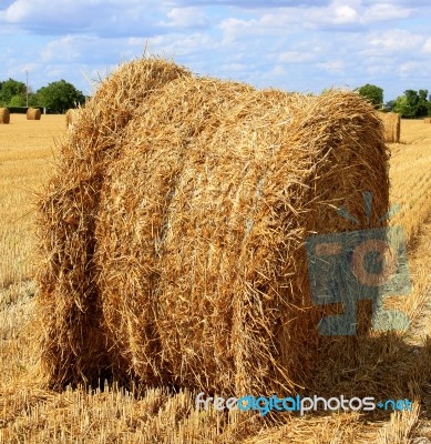 Straw Bales Stock Photo