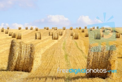 Straw Bales Stock Photo