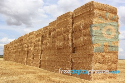 Straw Bales Stock Photo