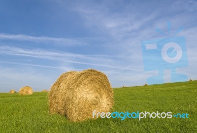 Straw Ball Stock Photo