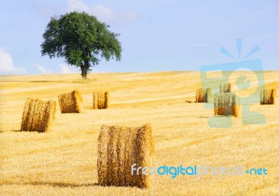 Straw Balls Stock Photo