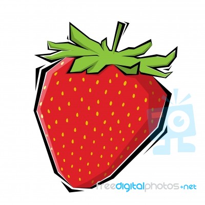 Strawberries  Illustration Stock Image