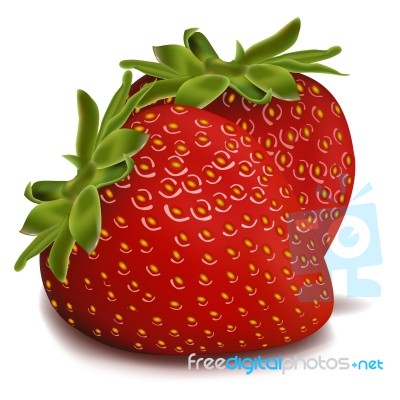 Strawberries Illustration Stock Image