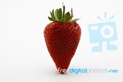 Strawberry Stock Photo