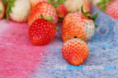 Strawberry Stock Photo