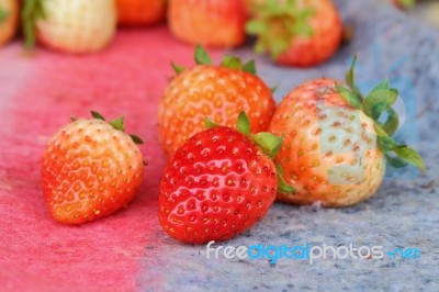 Strawberry Stock Photo