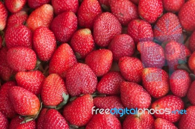 Strawberry  Stock Photo