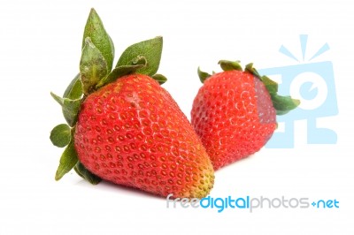 Strawberry Stock Photo