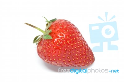 Strawberry Berries White Background Stock Photo