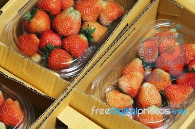 Strawberry Packaging Stock Photo