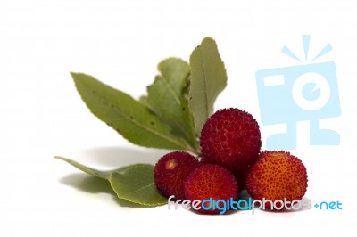 Strawberry Tree (arbutus Unedo) Fruit Stock Photo