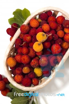 Strawberry Tree (arbutus Unedo) Fruit Stock Photo