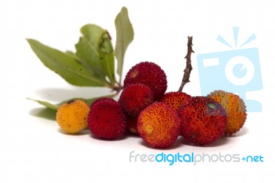 Strawberry Tree (arbutus Unedo) Fruit Stock Photo