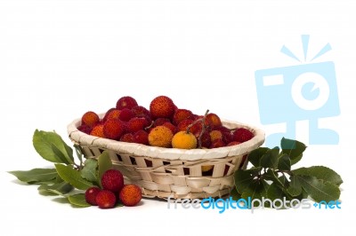 Strawberry Tree (arbutus Unedo) Fruit Stock Photo