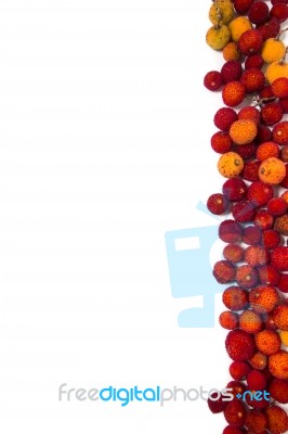 Strawberry Tree (arbutus Unedo) Fruit Stock Photo