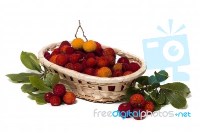 Strawberry Tree (arbutus Unedo) Fruit Stock Photo