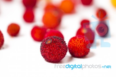 Strawberry Tree (arbutus Unedo) Fruit Stock Photo