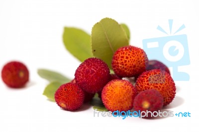 Strawberry Tree (arbutus Unedo) Fruit Stock Photo