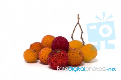 Strawberry Tree (arbutus Unedo) Fruit Stock Photo