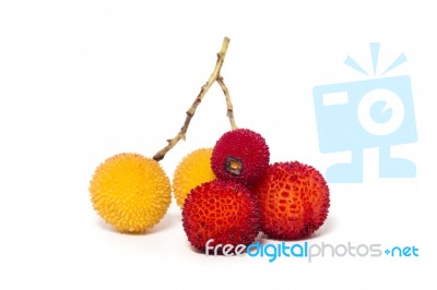 Strawberry Tree (arbutus Unedo) Fruit Stock Photo