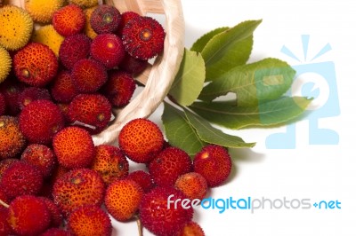 Strawberry Tree (arbutus Unedo) Fruit Stock Photo