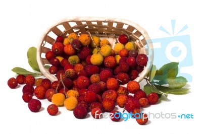 Strawberry Tree (arbutus Unedo) Fruit Stock Photo