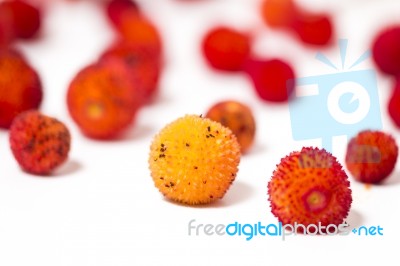 Strawberry Tree (arbutus Unedo) Fruit Stock Photo