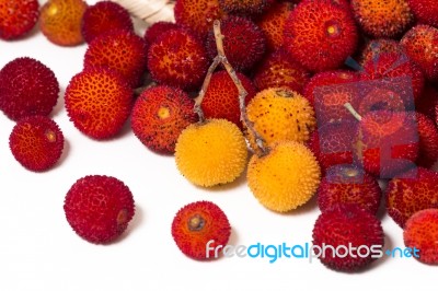 Strawberry Tree (arbutus Unedo) Fruit Stock Photo