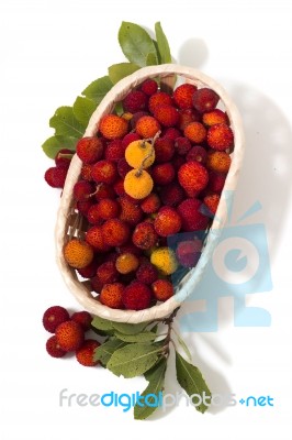 Strawberry Tree (arbutus Unedo) Fruit Stock Photo