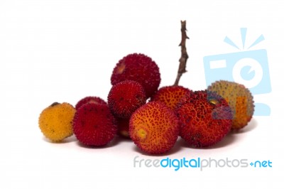 Strawberry Tree (arbutus Unedo) Fruit Stock Photo