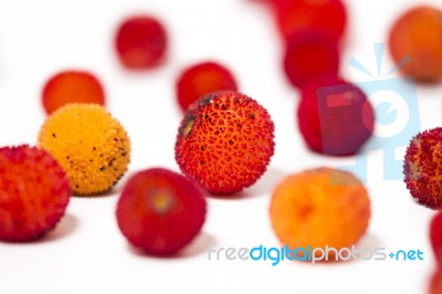 Strawberry Tree (arbutus Unedo) Fruit Stock Photo