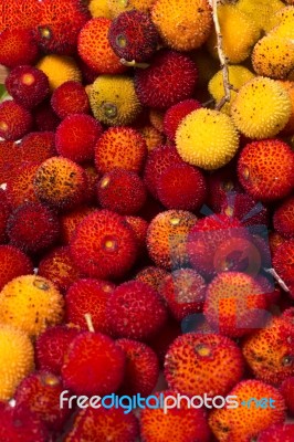 Strawberry Tree (arbutus Unedo) Fruit Stock Photo