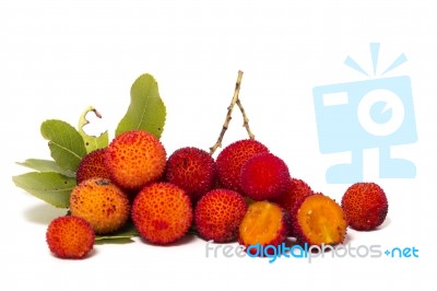 Strawberry Tree (arbutus Unedo) Fruit Stock Photo