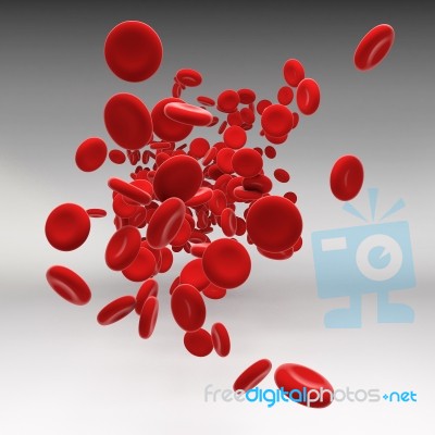 Stream Of Blood Cells Stock Image