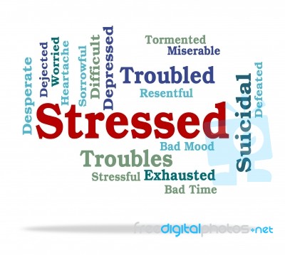 Stressed Word Indicates Wordclouds Stresses And Text Stock Image