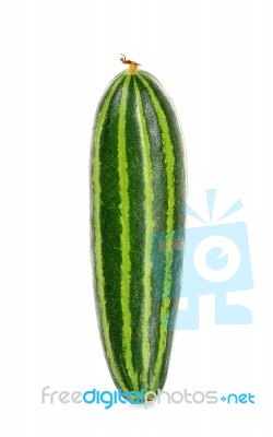 Striped Cucumber Isolated On The White Stock Photo