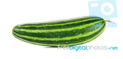 Striped Cucumber Isolated On The White Background Stock Photo