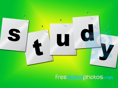 Study Studying Indicates University Develop And Train Stock Image