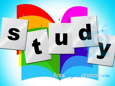 Study Studying Means College Training And Development Stock Image