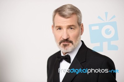 Stylish Entrepreneur In Tuxedo Stock Photo