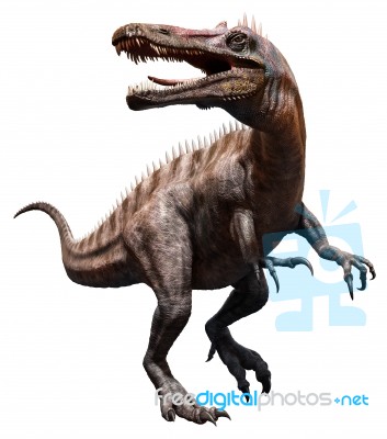 Suchomimus Stock Image