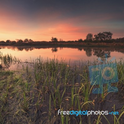 Summer Beautiful Sunrise Stock Photo