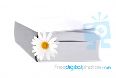 Summer Belletristic. Book And Daisy As A Bookmark Stock Photo