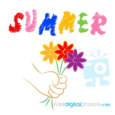 Summer Flowers Represents Flora Blooming And Petals Stock Image