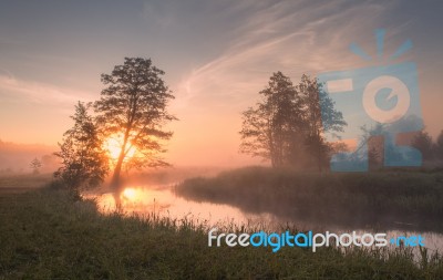 Summer Foggy Sunny Morning Stock Photo