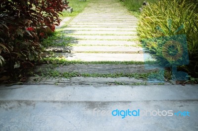 Summer Green Grass Step In Garden Stock Photo